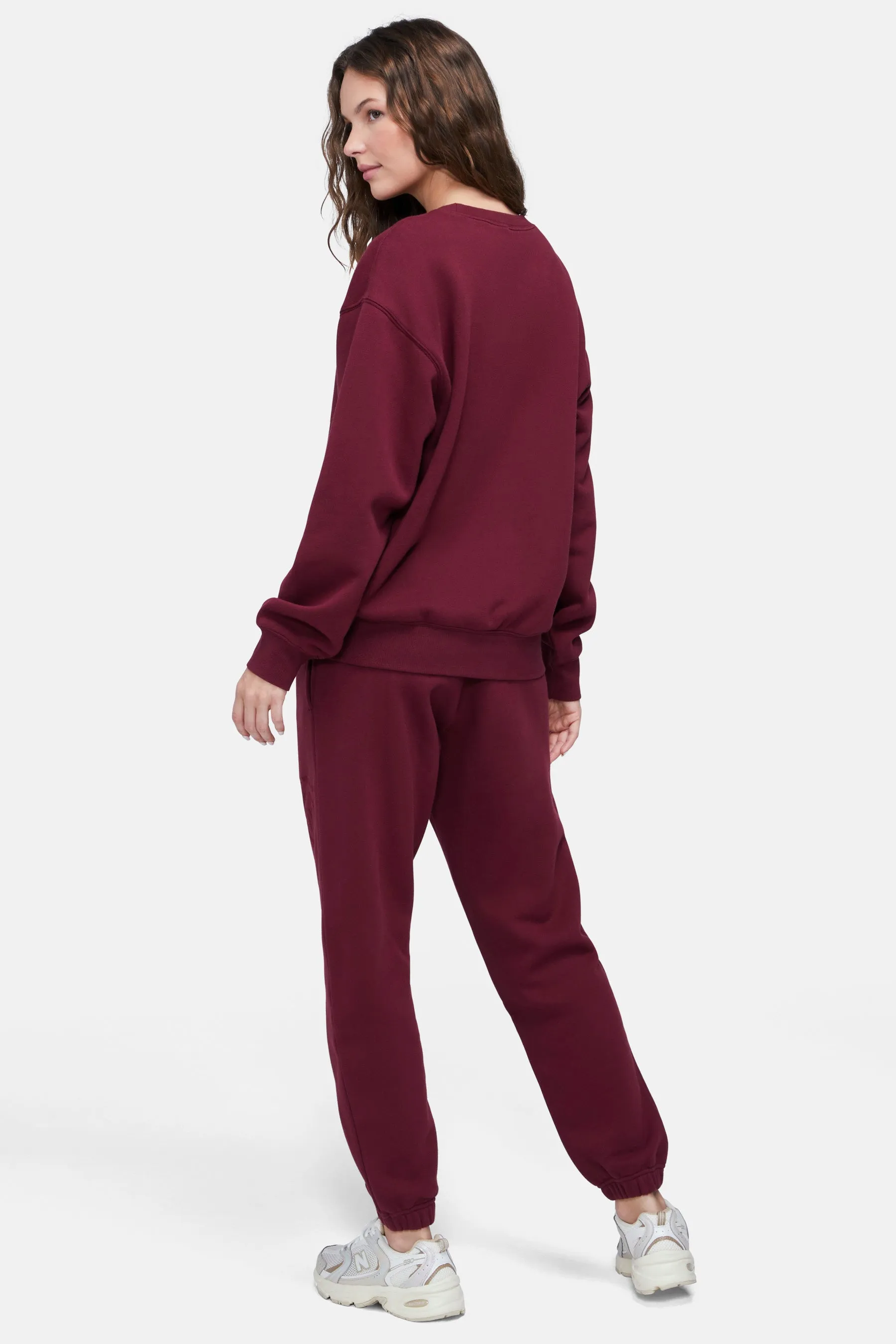 Hotel Wildfox Emmy Sweatpants | Chocolate Truffle