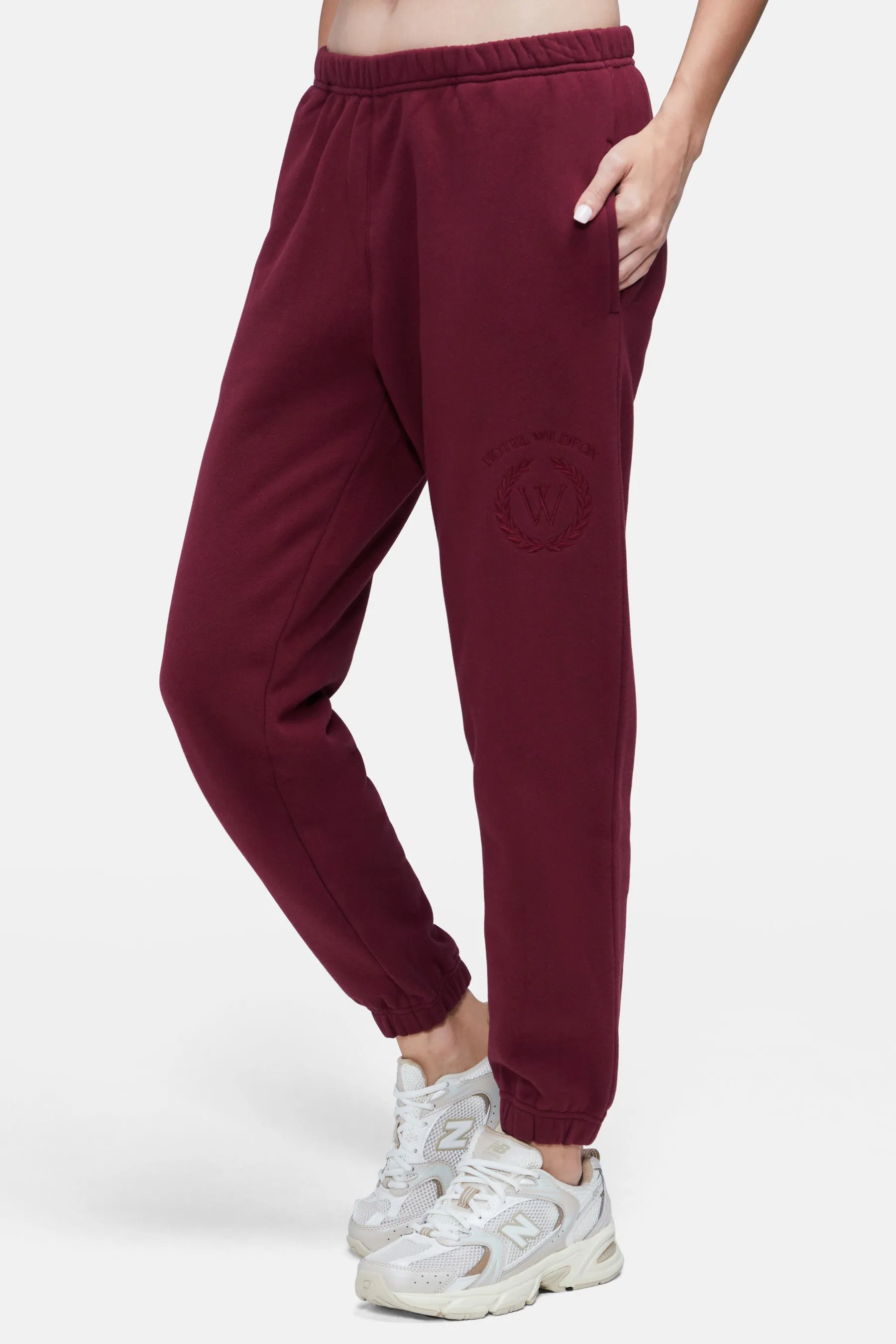 Hotel Wildfox Emmy Sweatpants | Chocolate Truffle