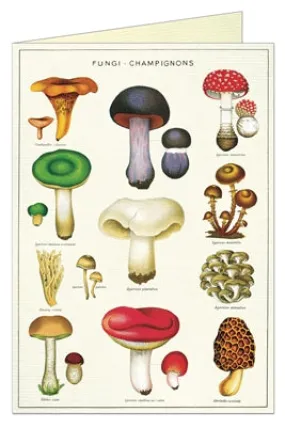  Mushrooms  Card